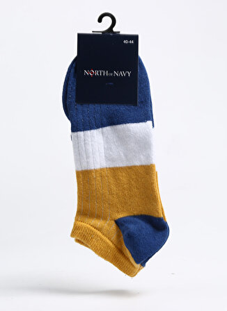 North Of Navy Çok Renkli Erkek Patik Çorap