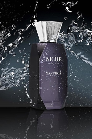 Niche Exclusive Xanthos EDP 100 ml