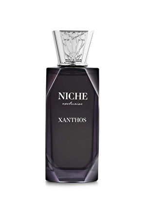 Niche Exclusive Xanthos EDP 100 ml