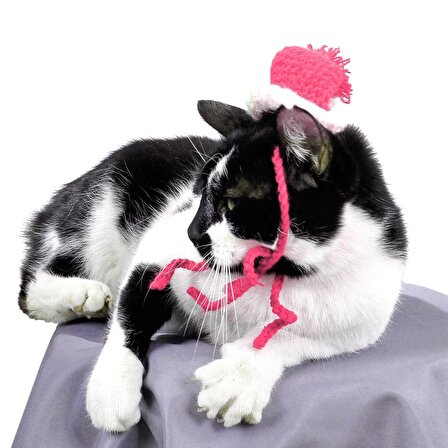 Kedi Şapkası Ponponlu El Örgüsü Kedi Şapka