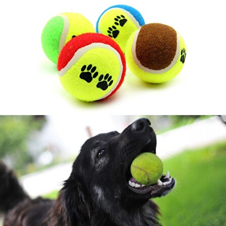 BUFFER®  3'lü Renkli Desenli Tenis Topu Kedi Köpek Oyuncağı Mini Evcil Hayvan Topu