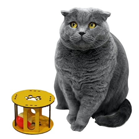  BUFFER® Ahşap Kafes Renkli Toplu Kedi Patisi Desenli Sesli Kedi Oyuncağı