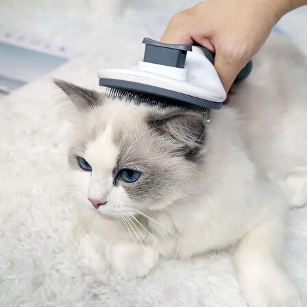 BUFFER® Kedi Köpek Tüy Toplayıcı Kendini Temizleyebilen Ergonomik Saplı Gri Fırça