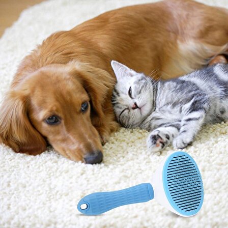 BUFFER® Kedi Köpek Tüy Toplayıcı Kendini Temizleyebilen Ergonomik Saplı Fırça