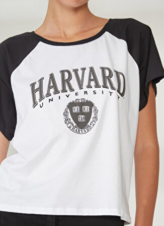 Never Say Never Harvard Baskılı Beyaz Kadın T-Shirt BYL3032
