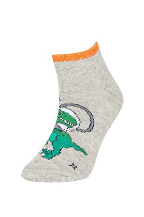 Erkek Çocuk Dinozor Baskılı 5'li Pamuklu Patik Çorap