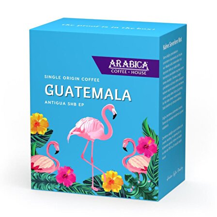 GUATEMALA  250 GR