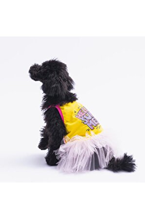 Pawstar Sarı Hello Summer Kedi Köpek Elbisesi - Kedi Köpek Kıyafeti XLarge