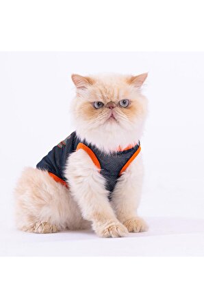 Pawstar Cool Dude Mesh Kedi Köpek Tişörtü - Kedi Köpek Kıyafeti Small