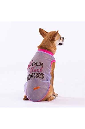 Pawstar Rocks Mesh Kedi Köpek Tişörtü - Kedi Köpek Kıyafeti Medium