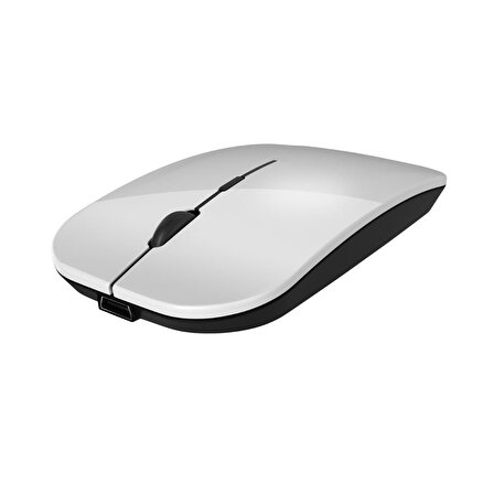 Polosmart PSWM15 Hibrit Bluetooth & Wireless Kablosuz Mouse Beyaz