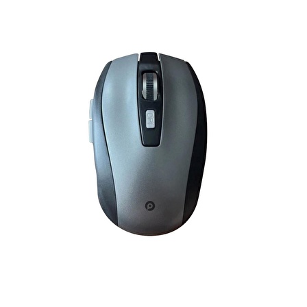 Polosmart PSWM16 Kablosuz Pilli Mouse Siyah