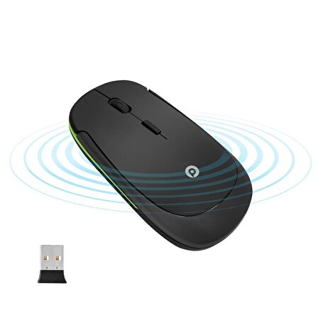Polosmart PSWM18 Kablosuz Mouse 2.4 GHz Siyah