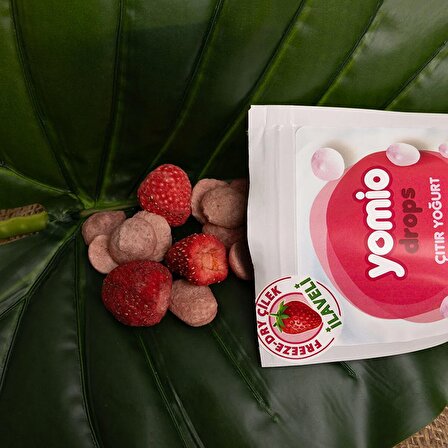 Yomio Drops Fonksiyonel Özellikli Kırmızı Meyveli Kuru Yoğurt Freeze Dry Bütün Çilek