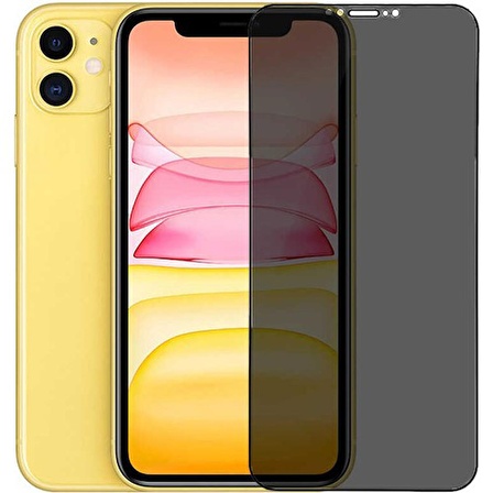 Go-Des iPhone 12 Pro Go Des Hayalet Gizli Ekran Koruyucu