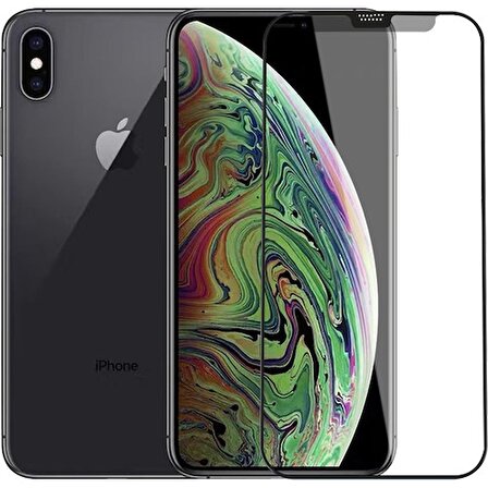 Wiwu iPhone X Uyumlu Mat Ekran Koruyucu 9h Temperli Parmak Izi Tutmayan Wiwu Ivista Matte