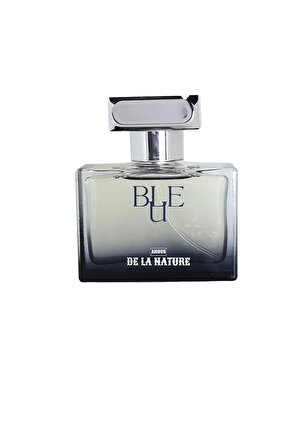 Bleu Erkek Parfüm 50ml Edp