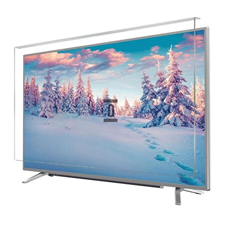 Bestoclass Samsung 85QN90C Tv Ekran Koruyucu Düz (Flat) Ekran