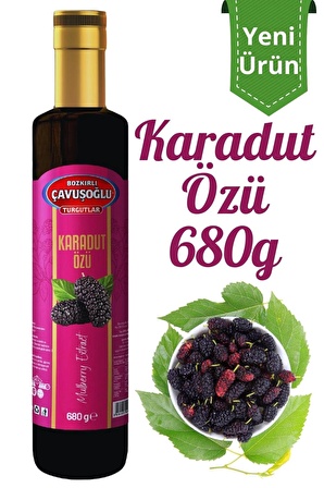 Doğal ve Katkısız Karadut Özü 680g