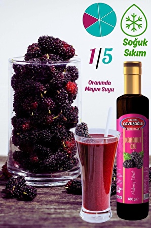 Doğal ve Katkısız Karadut Özü 680g