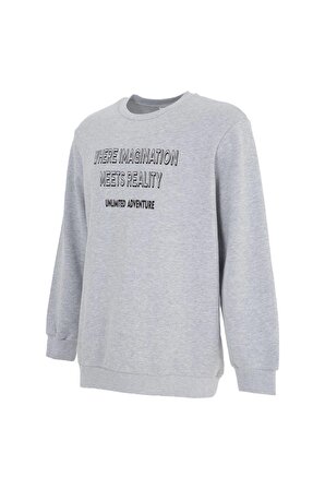 defy's ERKEK BASKILI UZUN KOLLU BİSİKLET YAKA SWEATSHIRT GRİ - XL