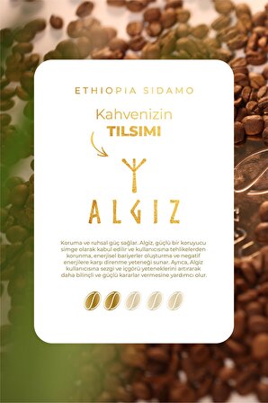 Ethiopia Sidamo Taze Yöresel Filtre Kahve ( Çekirdek Kahve ) 1 Kg