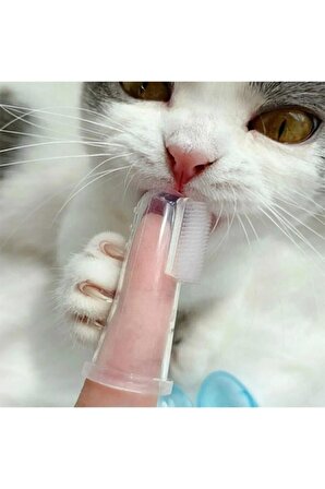 Kedi Ve Köpek Için Parmak Diş Fırçası
