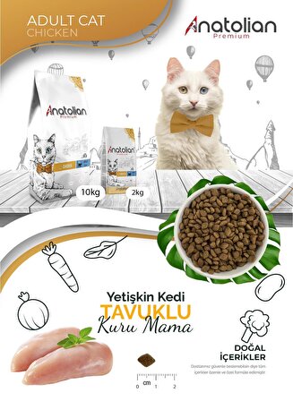 Anatolian Premium Adult Chicken Yetişkin Tavuklu Kedi Maması 4 Kg