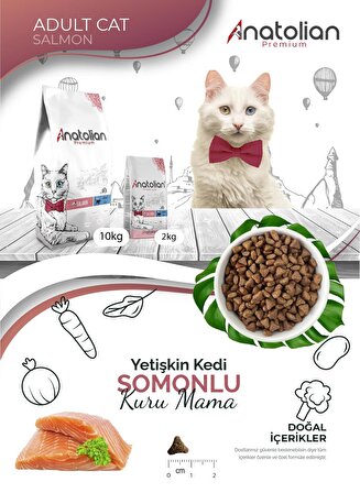 Anatolian Premium Adult Salmon Somonlu Yetişkin Kedi Maması 2 Kg