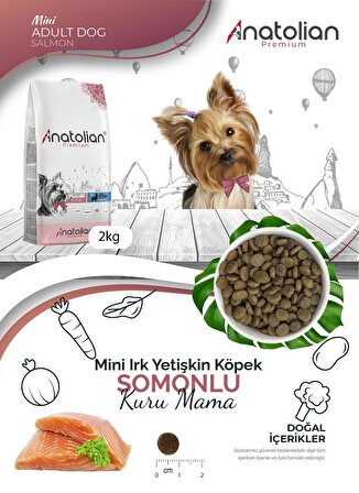Anatolian Premium Mini Adult Salmon Somonlu Yetişkin Küçük Irk Köpek Maması 2 Kg