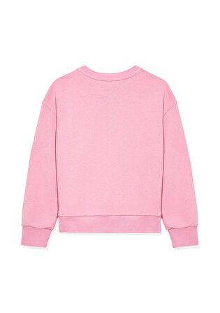 Bisiklet Yaka Pembe Basic Sweatshirt 7S10040-70984