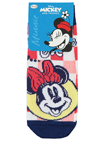 Minnie Mouse Kız Çocuk Çorap 3-11 Yaş Lacivert