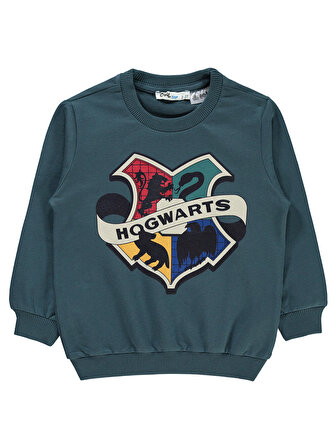 Harry Potter Erkek Çocuk Sweatshirt 2-5 Yaş Antrasit