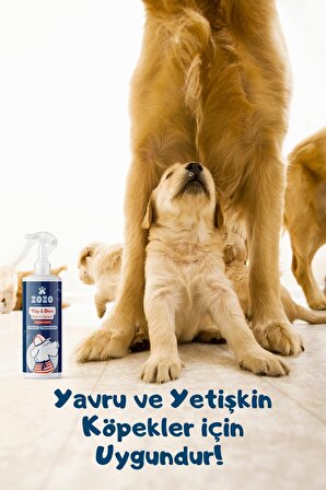 Tüy & Deri Bakım Spreyi Köpeklere Özel