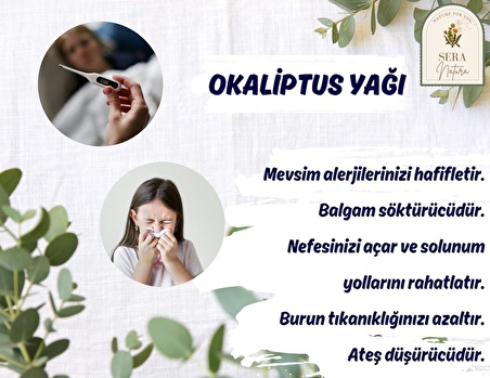 Okaliptus Uçucu Yağı 10 ml. %100 Saf