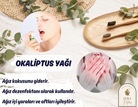 Okaliptus Uçucu Yağı 10 ml. %100 Saf