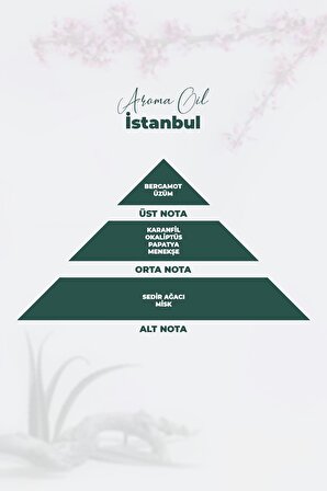 Aroma Oil İstanbul Parfüm 250 ML