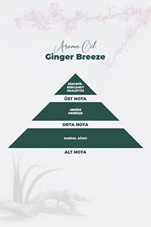 Aroma Oil Ginger Breeze Parfüm 100 ML