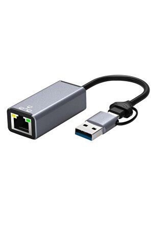 Global 2in1 USB ve Type-C to RJ45 Ethernet Adaptörü WNE0164