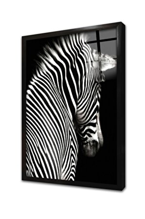 Yakın Çekim Zebra Çerçeveli Cam Tablo