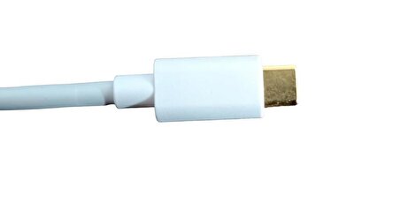 PDAteknoloji TYPE-C to USB adapter MICRO to USB Adapter Altın Uçlu