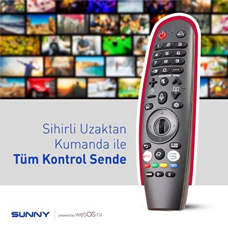 Sunny Remote Control Smart RTK2874 Webos -AKB76036901