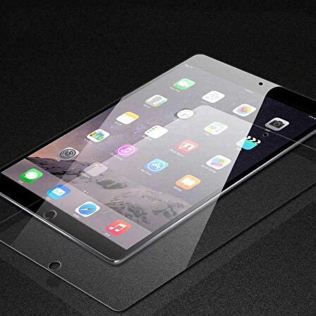 iPad Pro 12.9" 4. Nesil Tablet Ekran Koruyucu