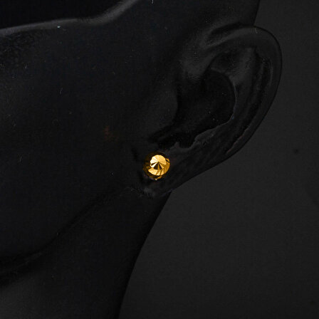 Kalemli Sarı Altın Top Küpe (6 mm Çaplı)