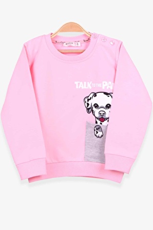 Breeze Kız Çocuk Sweatshirt Köpek Baskılı 2-6 Yaş, Pudra