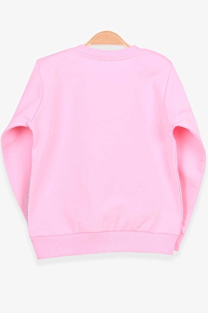 Breeze Kız Çocuk Sweatshirt Köpek Baskılı 2-6 Yaş, Pudra