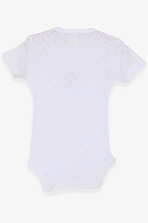 Breeze Kız Bebek Çıtçıtlı Body Jakarlı Arıcık Desenli 9 Ay-3 Yaş, Beyaz