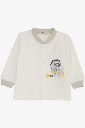 Breeze Erkek Bebek Pijama Takımı Kadife Dinozor Nakışlı 0-3 Ay-9 Ay, Ekru