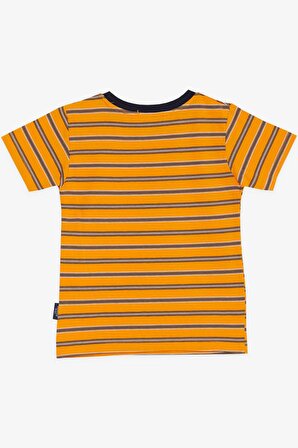 Breeze Erkek Çocuk Tişört Çizgili 3-7 Yaş, Hardal Sarı