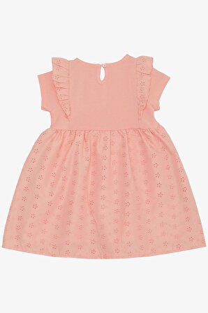 Breeze Kız Bebek Elbise Omuzu Fırfırlı Fiyonklu Çiçek Nakışlı 9 Ay-3 Yaş, Somon